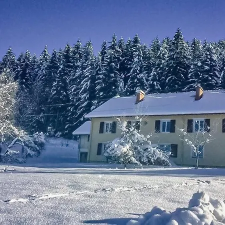 Chalet Cosy Lisiere De Foret Xonrupt-Longemer Exterior photo