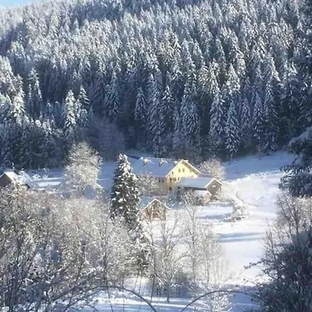 Chalet Cosy Lisiere De Foret Xonrupt-Longemer Exterior photo