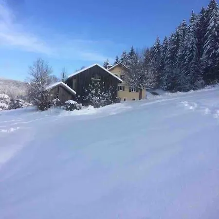 Chalet Cosy Lisiere De Foret Xonrupt-Longemer Exterior photo