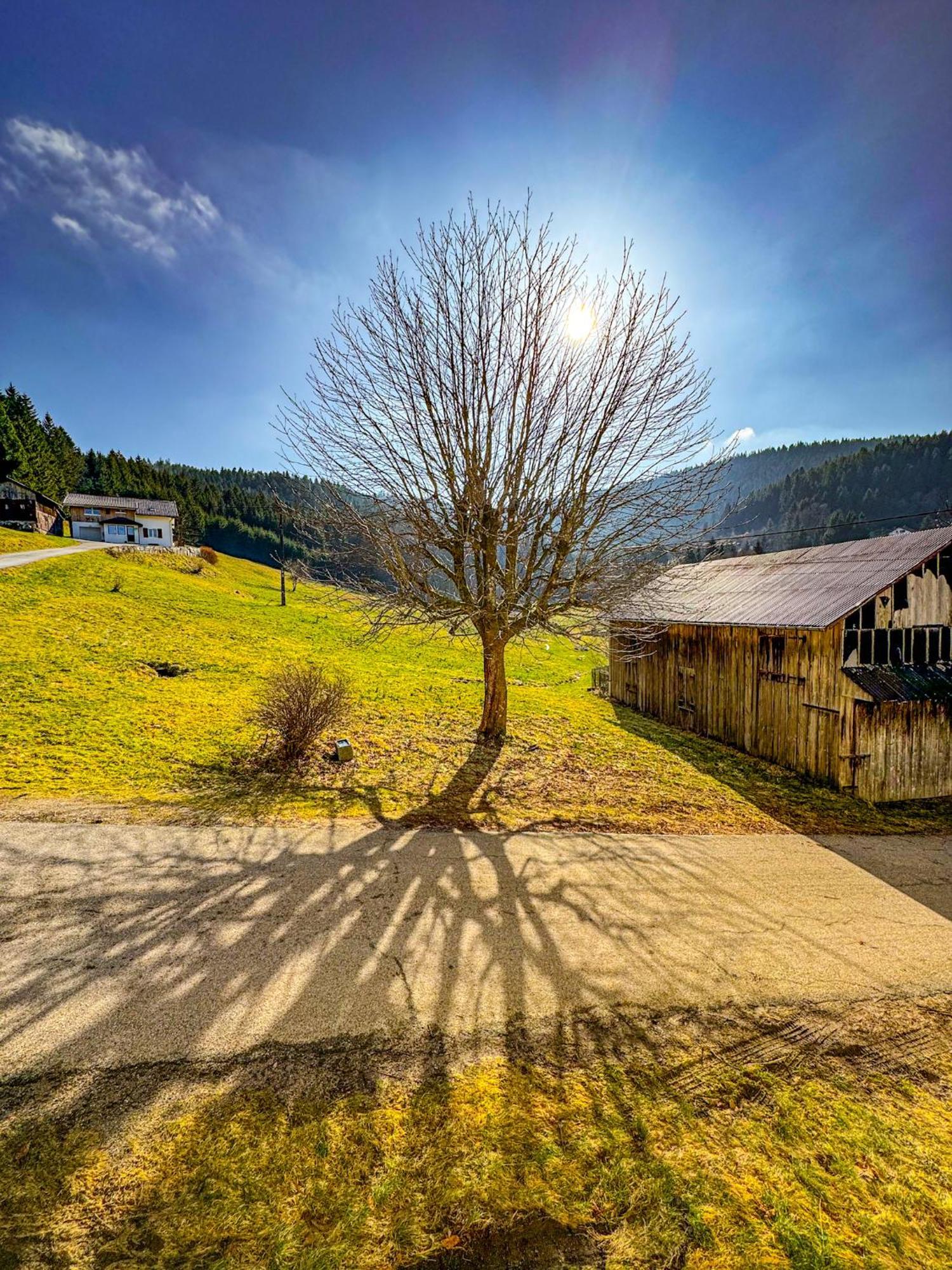 Cosy Lisiere De Foret Xonrupt-Longemer