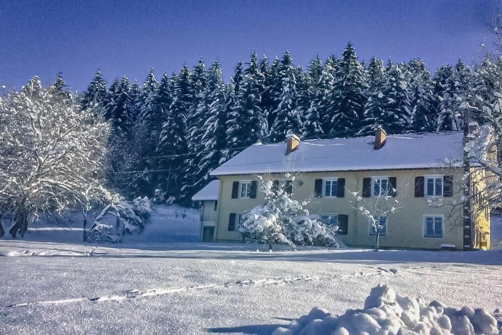 Chalet Cosy Lisiere De Foret Xonrupt-Longemer