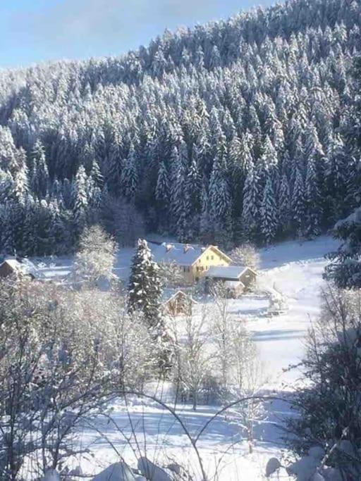 Cosy Lisiere De Foret * Xonrupt-Longemer