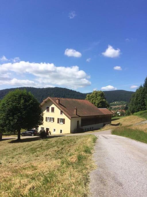 Cosy Lisiere De Foret