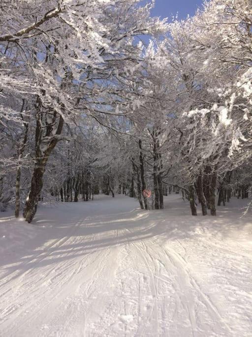 Cosy Lisiere De Foret Chalet *